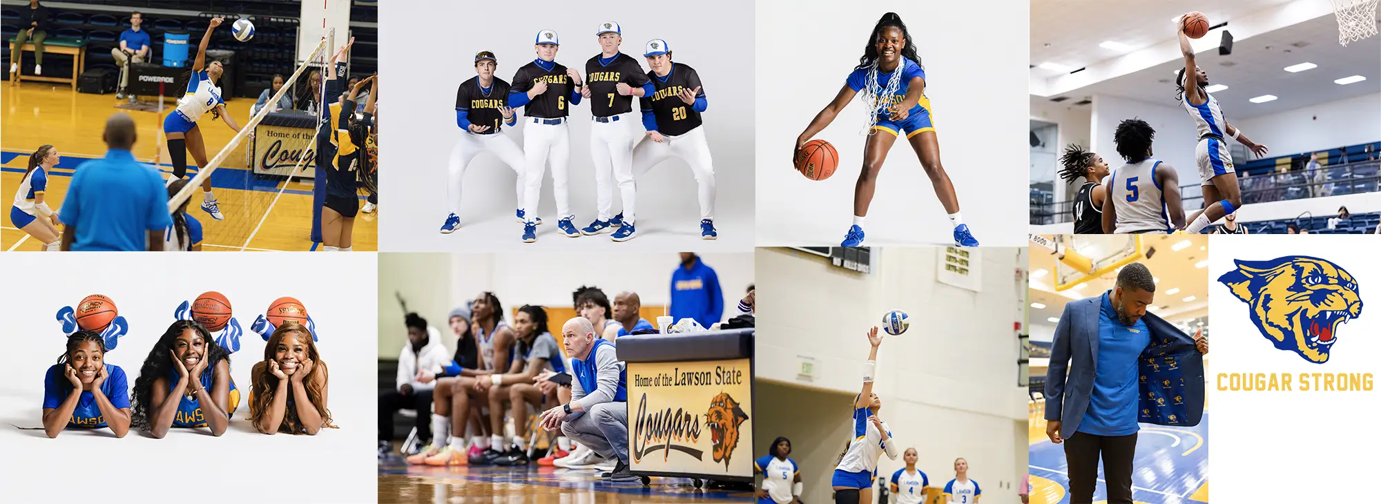different sports photos at lawson state