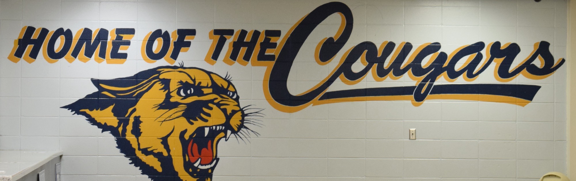 picture with lawson state name and cougar icon on it