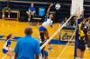 A Lawson State volleyball player wearing jersey number 8 leaps to spike the ball at the net as opposing players attempt a block during a match.
