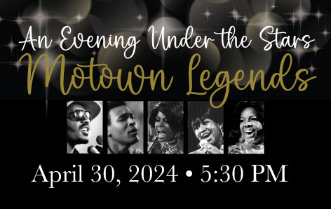 Motown Banner